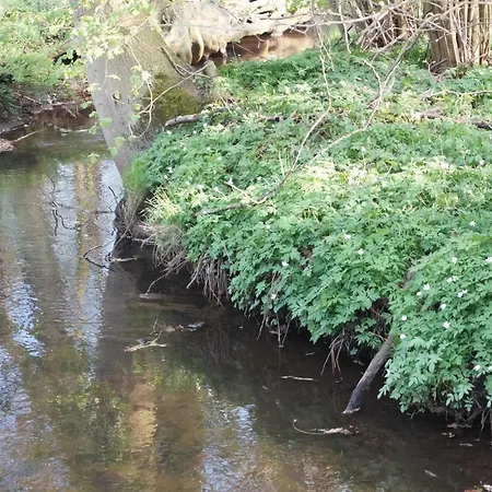 Tini バート・ファリングボステル